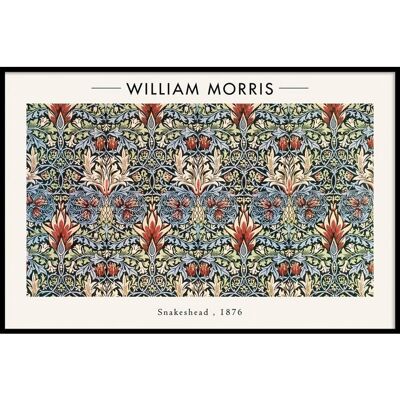 William Morris - Cabeza de serpiente - Lienzo - 60 x 90 cm