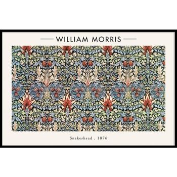William Morris - Tête de serpent - Plexiglas - 40 x 60 cm 1