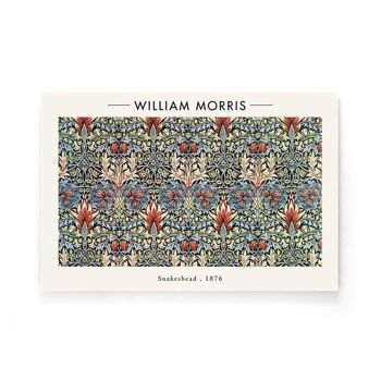 William Morris - Tête de serpent - Plexiglas - 40 x 60 cm 7