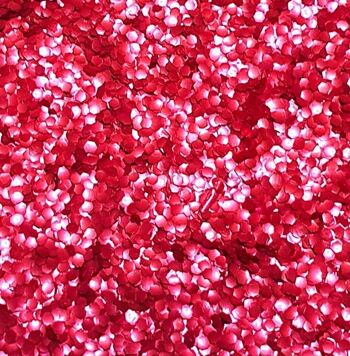 Paillettes Rouge Moyennes 3