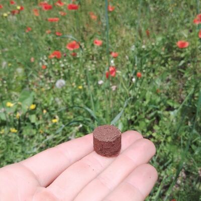 Bombes à fleurs (x6 / tube)
