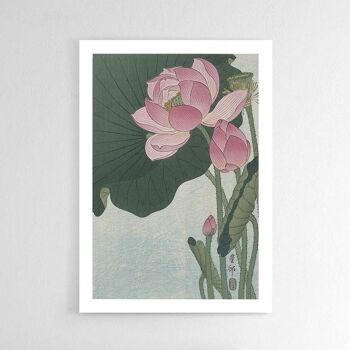 Fleur de Lotus - Affiche - 60 x 90 cm 3