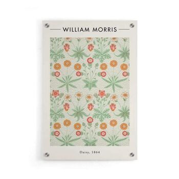 William Morris - Marguerite - Plexiglas - 40 x 60 cm 5