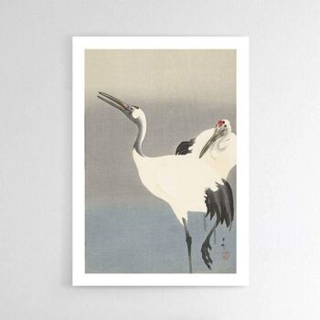 Oiseau grue - Affiche - 40 x 60 cm 3