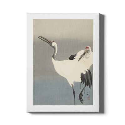 Crane bird - Poster framed - 50 x 70 cm
