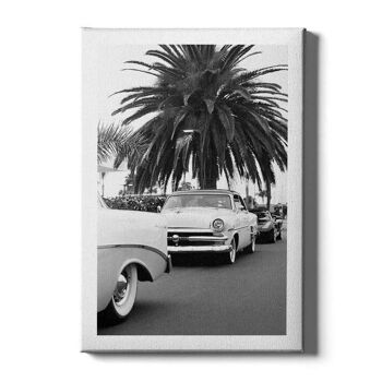 Voiture classique sous un palmier - Affiche - 40 x 60 cm 6