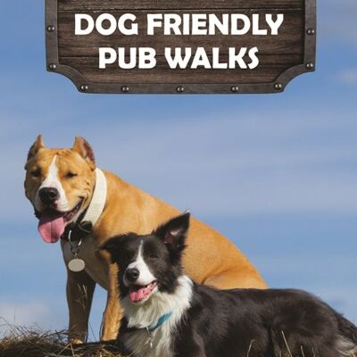 Somerset Dog Friendly Pub Walks