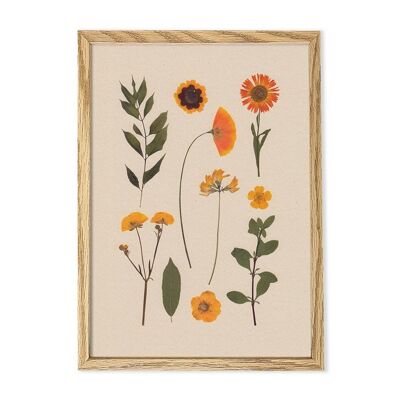 Flower poster herbarium yellow