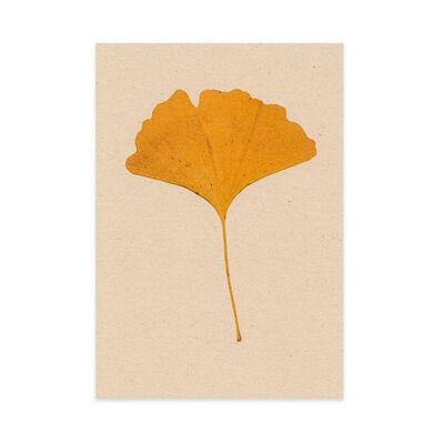 Floral postcard ginkgo leaf