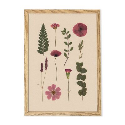 Flower poster herbarium red A4
