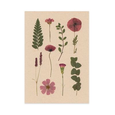 Flower postcard herbarium red