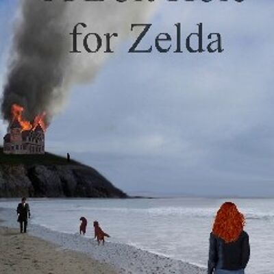 A Bolt Hole for Zelda / 184