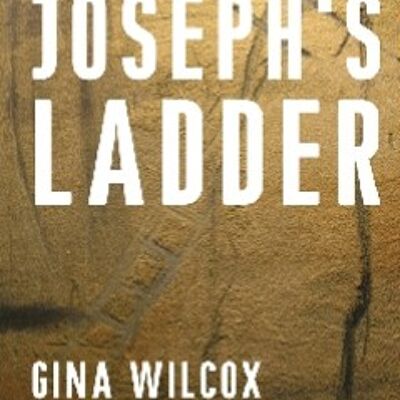 Joseph’s Ladder / 30