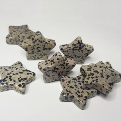 Dalmatian Jasper Crystal Star