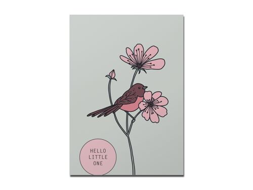 Postkarte "Hello Little One", Pink Robin