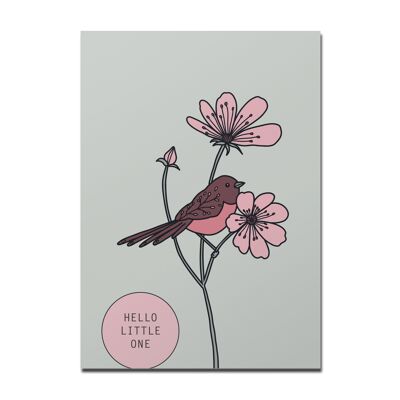 Postcard "Hello Little One", Pink Robin