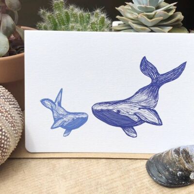 Whale card