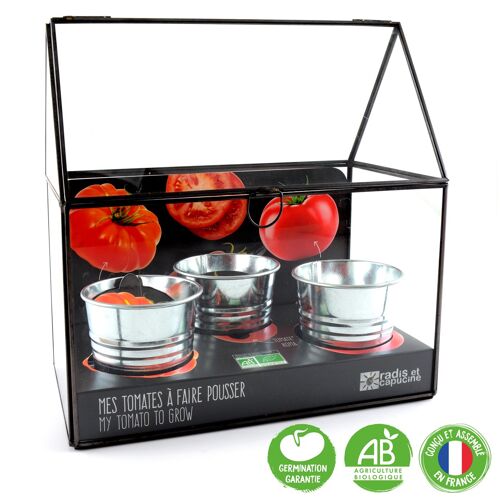 Châssis zinc noir 3 pots zinc tomates bio