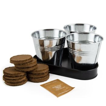 Plateau trio pots zinc fraisier des bois 3