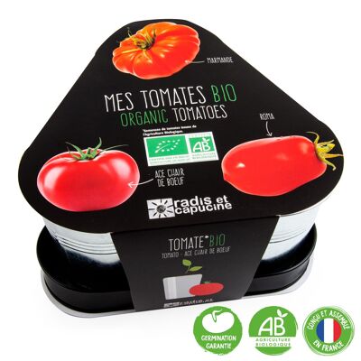 Plateau trio pots zinc tomates