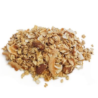 Artisanal Granola Almonds Coconut Organic