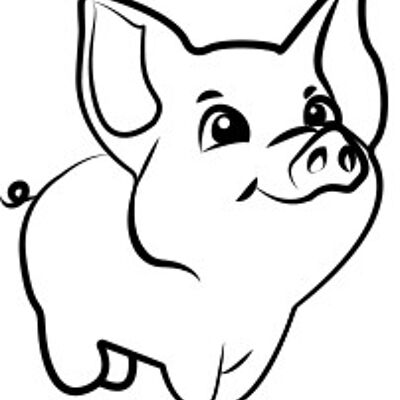 Symbols - Pig