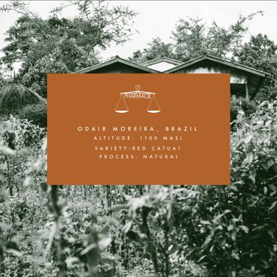 Odair Moreira, BRÉSIL — Espresso Roast - Grain entier - 250g