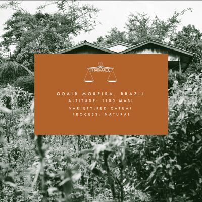 Odair Moreira, BRASILE — Espresso Roast - Piano Cottura Moka - 250g