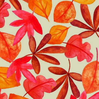 Feuilles d'automne sur carton