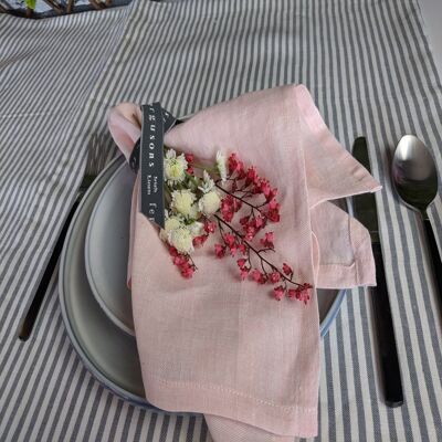 Linen Chambray Napkins - Blush