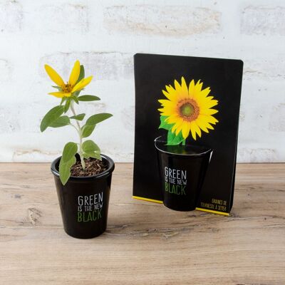 Topf schwarz "Grün ist das neue Schwarz" - Sonnenblume