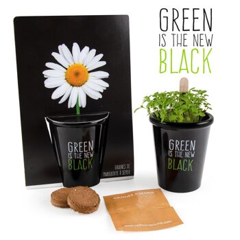 Pot black "Green is the new black"- Pâquerette 3