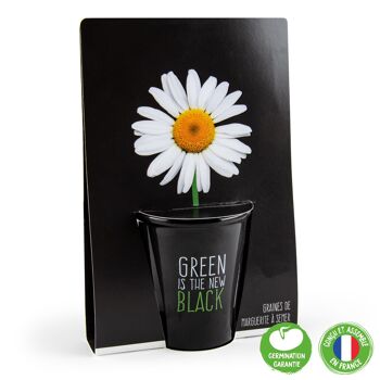 Pot black "Green is the new black"- Pâquerette 2