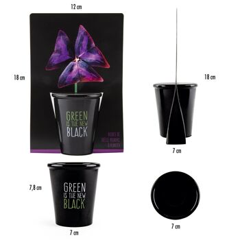 Pot black "Green is the new black"- Trèfle pourpre 5