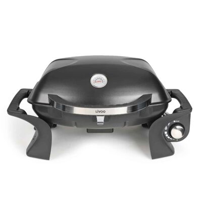 portable gas grill