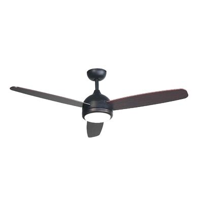 Ceiling fan