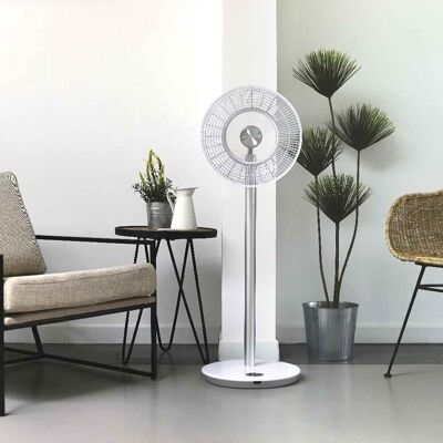 Cordless pedestal fan