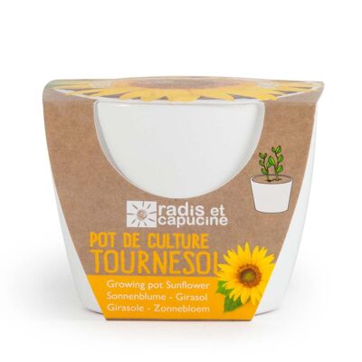 White pot 8 cm Organic Sunflower