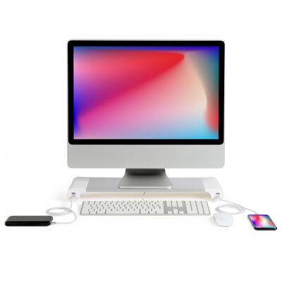 Supporto per computer USB TEA280