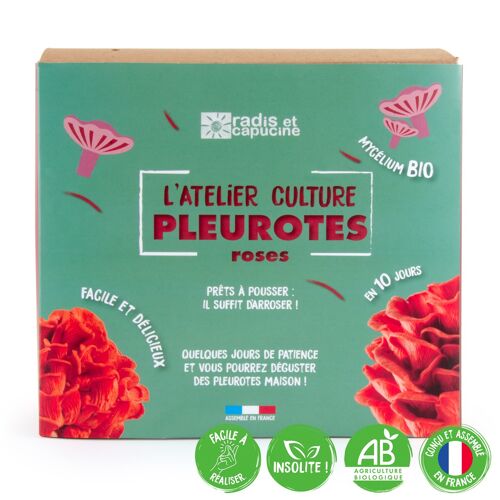 Kit de culture - Pleurotes Bio roses