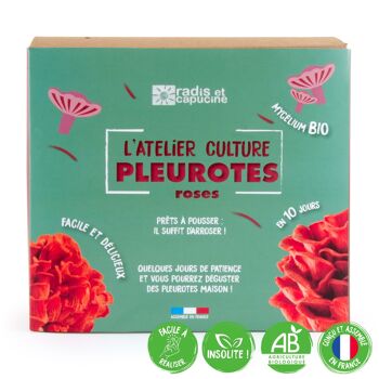Kit de culture - Pleurotes Bio roses 1
