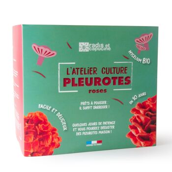 Kit de culture - Pleurotes Bio roses 4