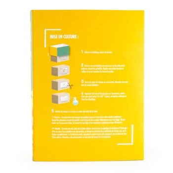 Kit de culture - Pleurotes Bio jaunes 5