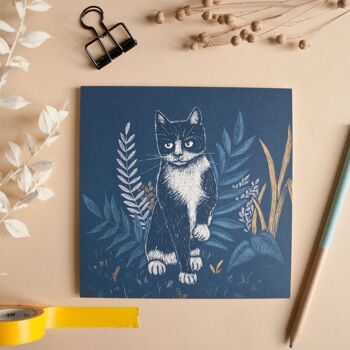 Carte postale | chat bleu 4