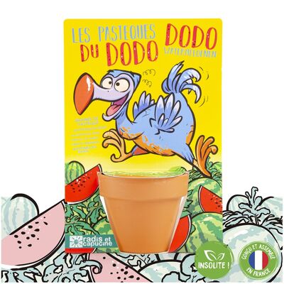 Der Dodo und seine Wassermelonenkerne säen