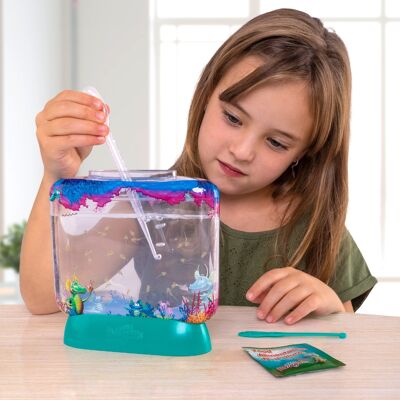 AQUA DRAGONS® Underwater World Boxed Kit