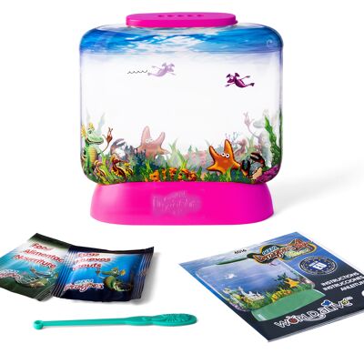 AQUA DRAGONS® Sea Friends Basic (disponible en 4 couleurs)