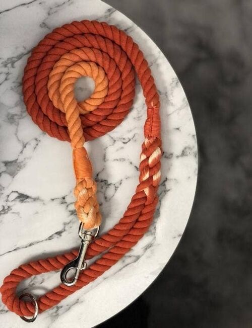 Pumpkin Spice Rope Lead