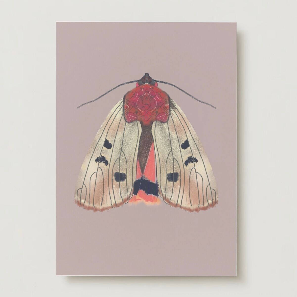 Cartolina d'auguri di falena insetto crema