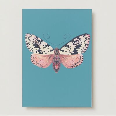 Carte de vœux de papillon de nuit d'insecte de papillon de tache